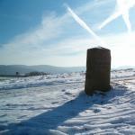 Prügeltorten Hermann Mader