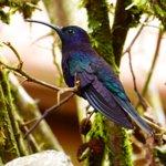 Hotel Atrium am Meer