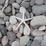 Kelly's Bakehouse & Deli