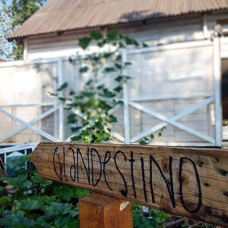 Clandestino na Bojani