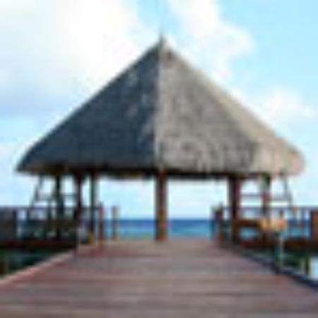 Giovanni L Gelato De Luxe