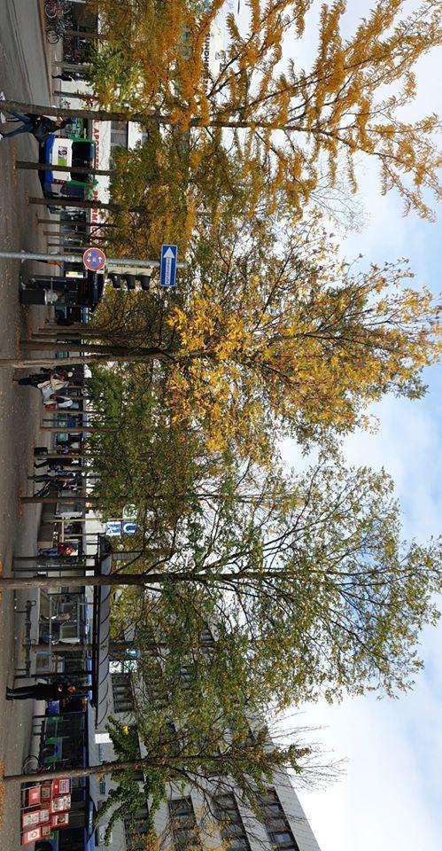 Giesinger Bahnhofplatz