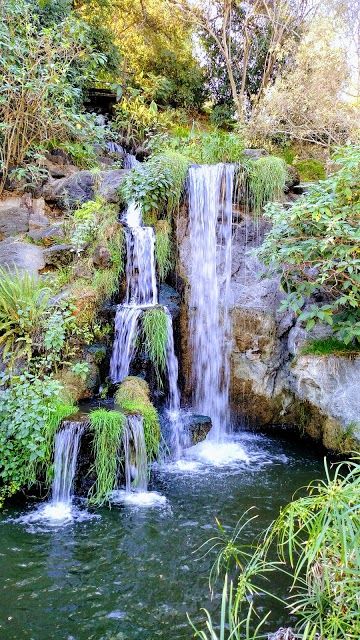 Los Angeles Arboretum and Botanic Gardens