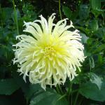 Restaurant Hotel Leipzig-Halle