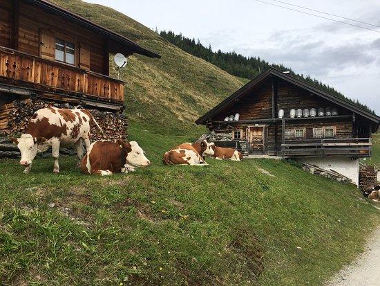 Geolsalm Jausenstation Fugen