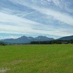 Koksbaren Restaurant