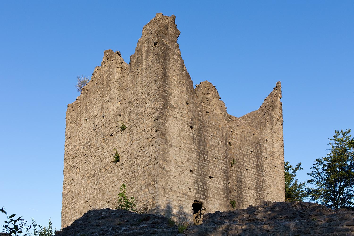 Burgruine Montsalvens
