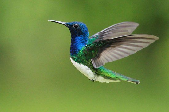 Dave & Dave's Costa Rica Nature Park