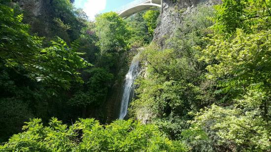Botanischer Garten Tiflis
