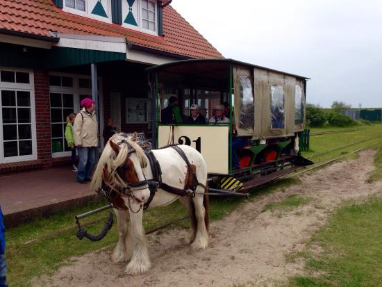 Spiekerooger Inselbahn