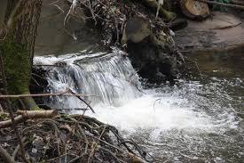 Naturschutzgebiet Kacze Łęgi