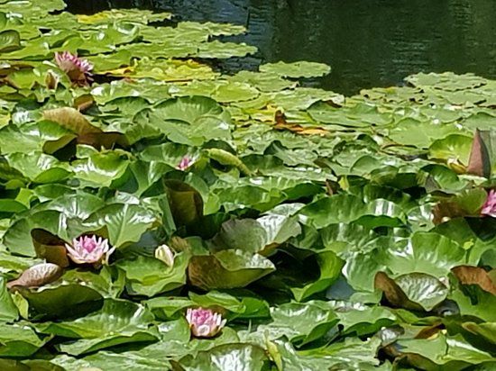 Lac de Mont d'Orge