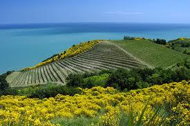 Fattoria Mancini Ettore