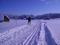 Waldlichtung Jakobsthal