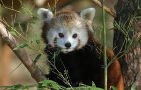 Zoo Salzburg Hellbrunn