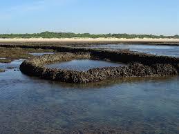 Los Coralles de Rota