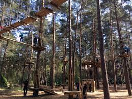 Go Ape Bracknell