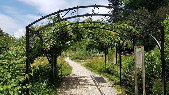 Zentrum Pro Natura in Champ-Pittet