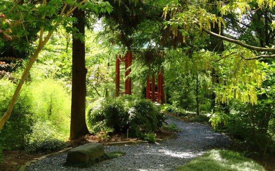 U.S. National Arboretum