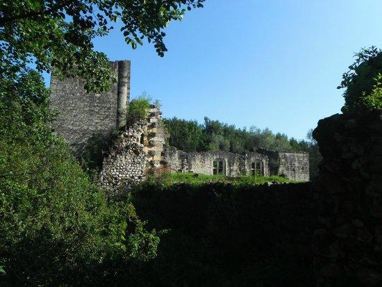 Chateau Thomas II de Savoie