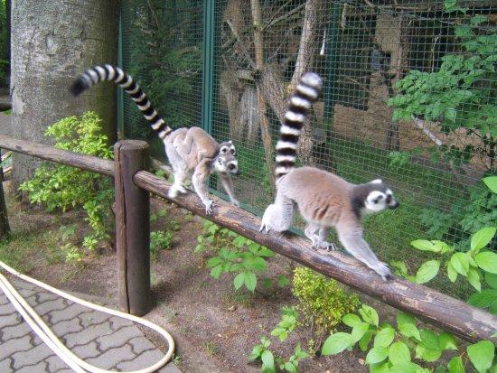 Zoologischer Garten Eberswalde