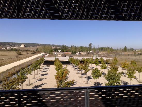 Centro de Arqueologia Experimental