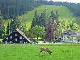 Skilifte Kaltenbronn