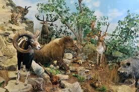 Tortenelmi Modellvasut es Vadaszati Muzeum