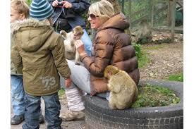 Tier- und Spielpark Bichlbach