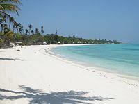 Strand von Pamalican Island