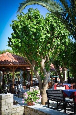 Garakas Bar & Taverna