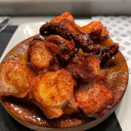 Vinitus Madrid-Barcelona