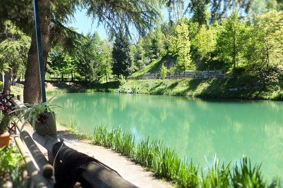 Il Laghetto Restaurant La Morra