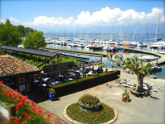 Brasserie Les Cygnes