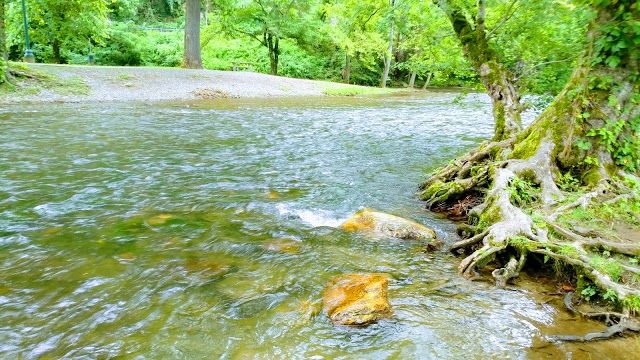 Oconaluftee Islands Park