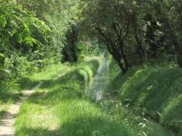 Regionaler Naturpark Alpillen