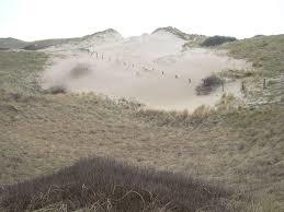 Nordholländisches Dünenreservat