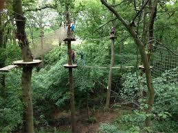 Freizeitpark Go Ape Trent Park