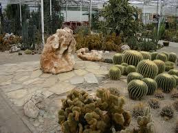Belevingspark Cactus Oase