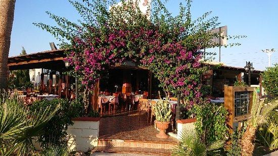 Tony's Cyprus Tavern