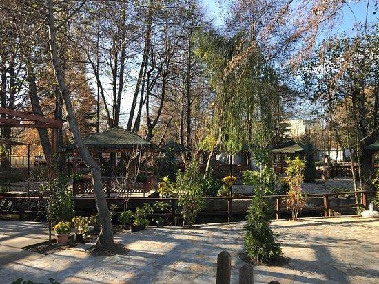 Bar Restaurant Xhili