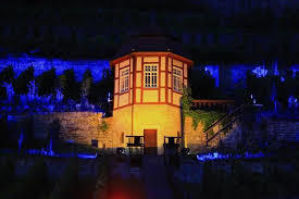 Schauweinberg Herzoglicher Weinberg