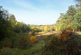 Ölbachtal mit Augustdorfer Dünenfeld