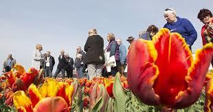Tulpenexcursie