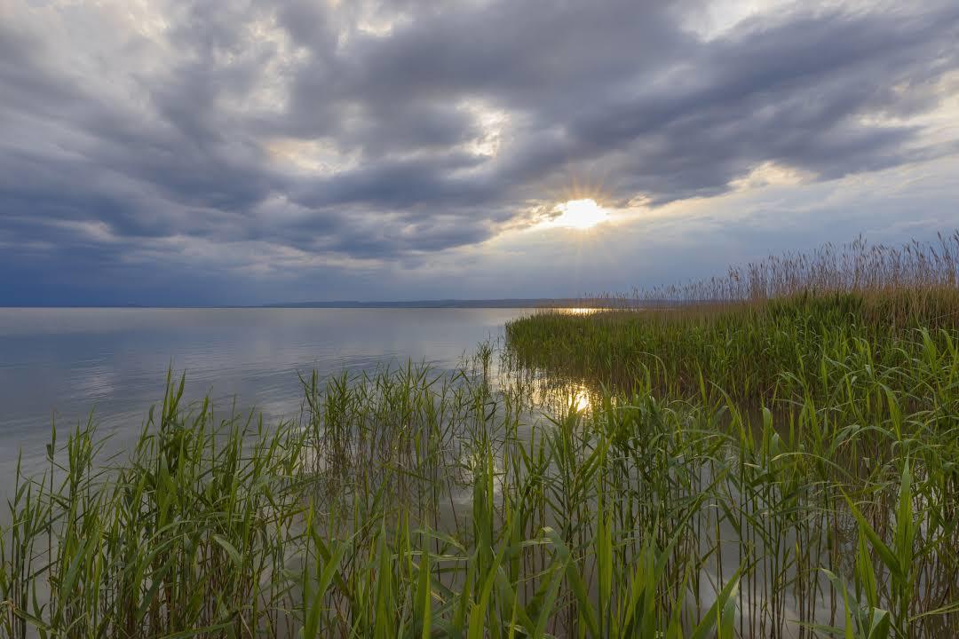 Neusiedler See