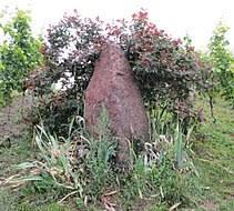 Menhir von Ortenberg