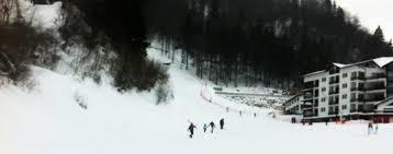 Ski slope - Cheile Gradistei