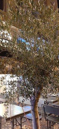 Olive Tree Bistro