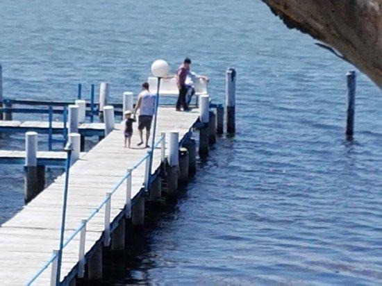 Maximilians on the Waterfront