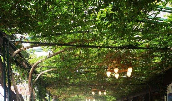 Hotel Krone Restaurant